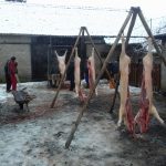 IMG-20171209-WA0004