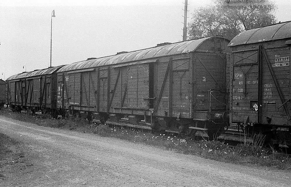 G – kola